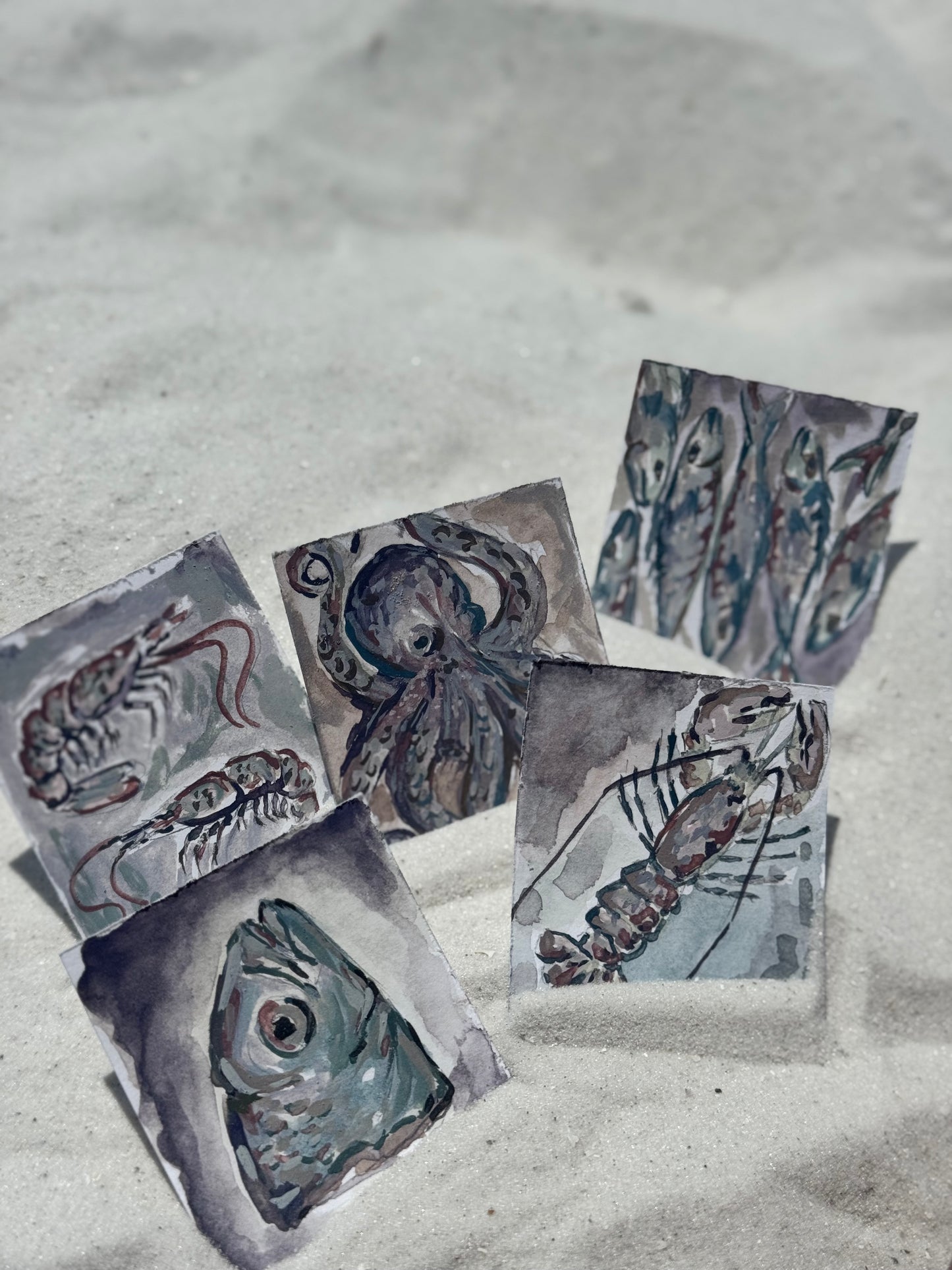 Mini sea creatures opaque