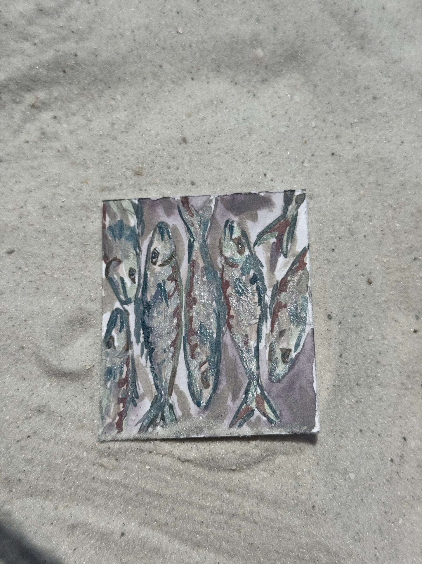 Mini sea creatures opaque