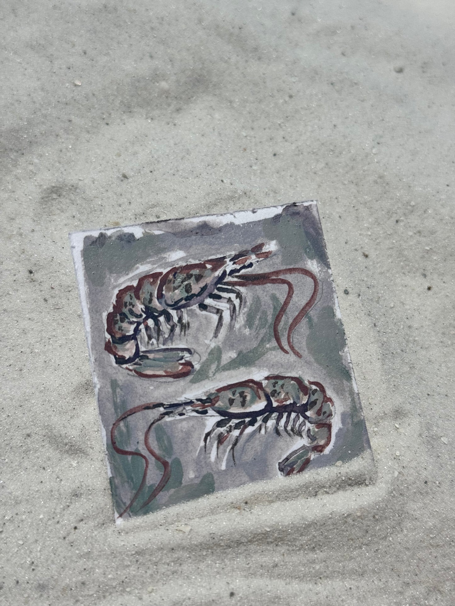 Mini sea creatures opaque